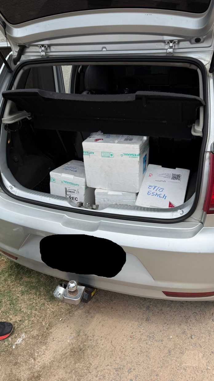 Divulgação/PCPE