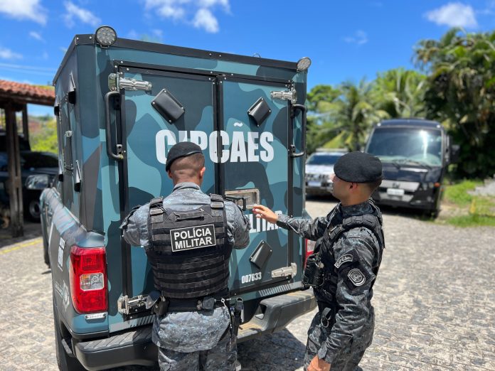 Divulgação/CIPCães